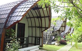 Gino'S Place - Guest House & Jungle Trekking