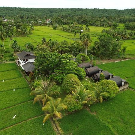 Gino'S Place - Guest House & Jungle Trekking Bukit Lawang Exterior photo