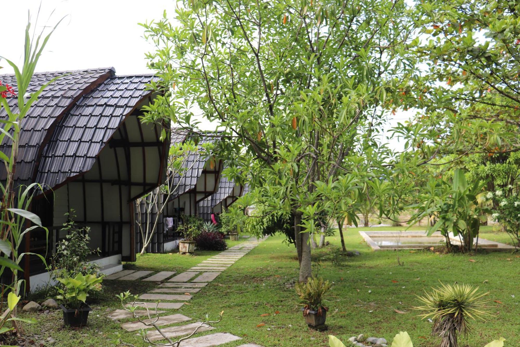 Gino'S Place - Guest House & Jungle Trekking Bukit Lawang Exterior photo