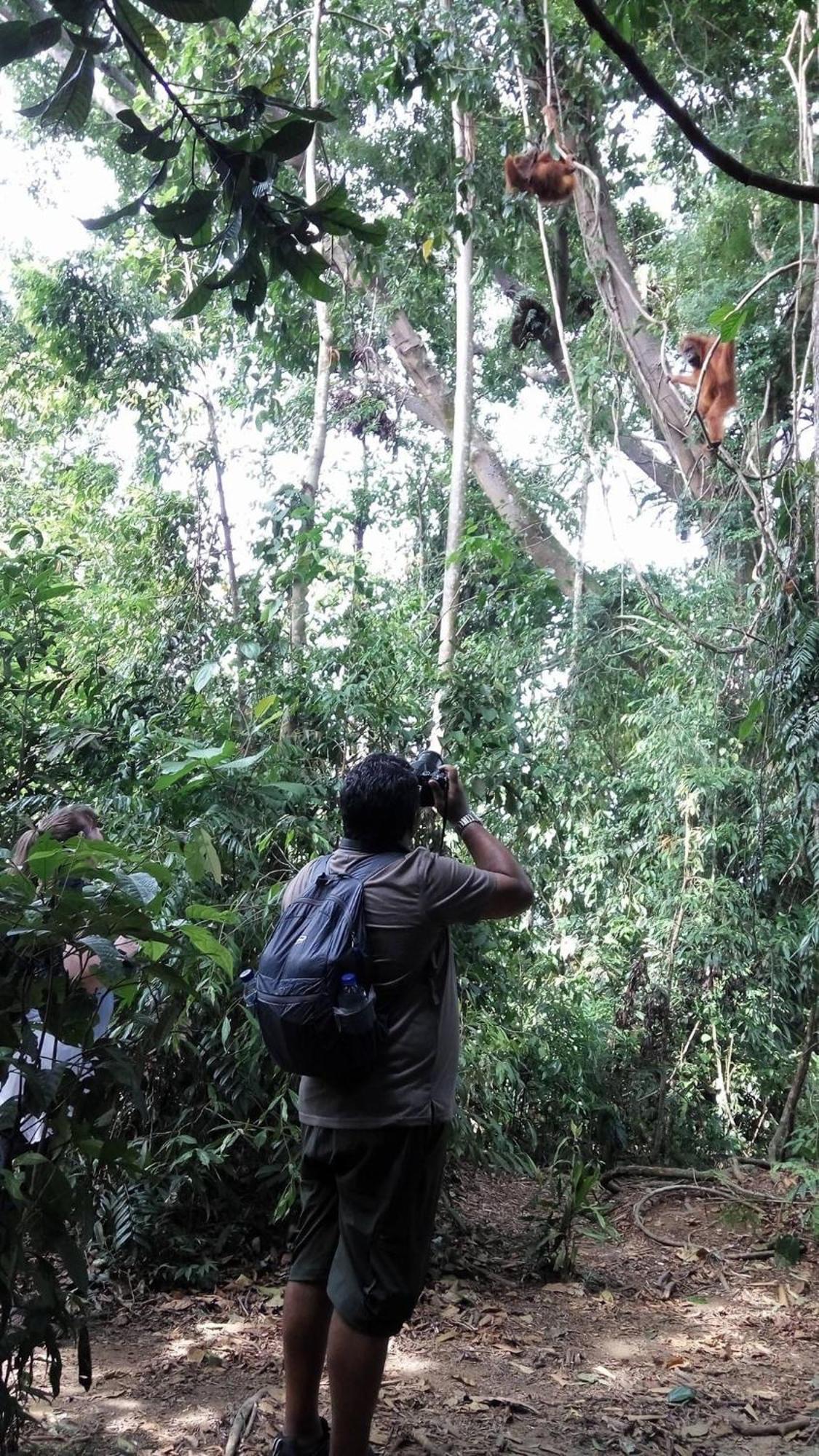 Gino'S Place - Guest House & Jungle Trekking Bukit Lawang Exterior photo