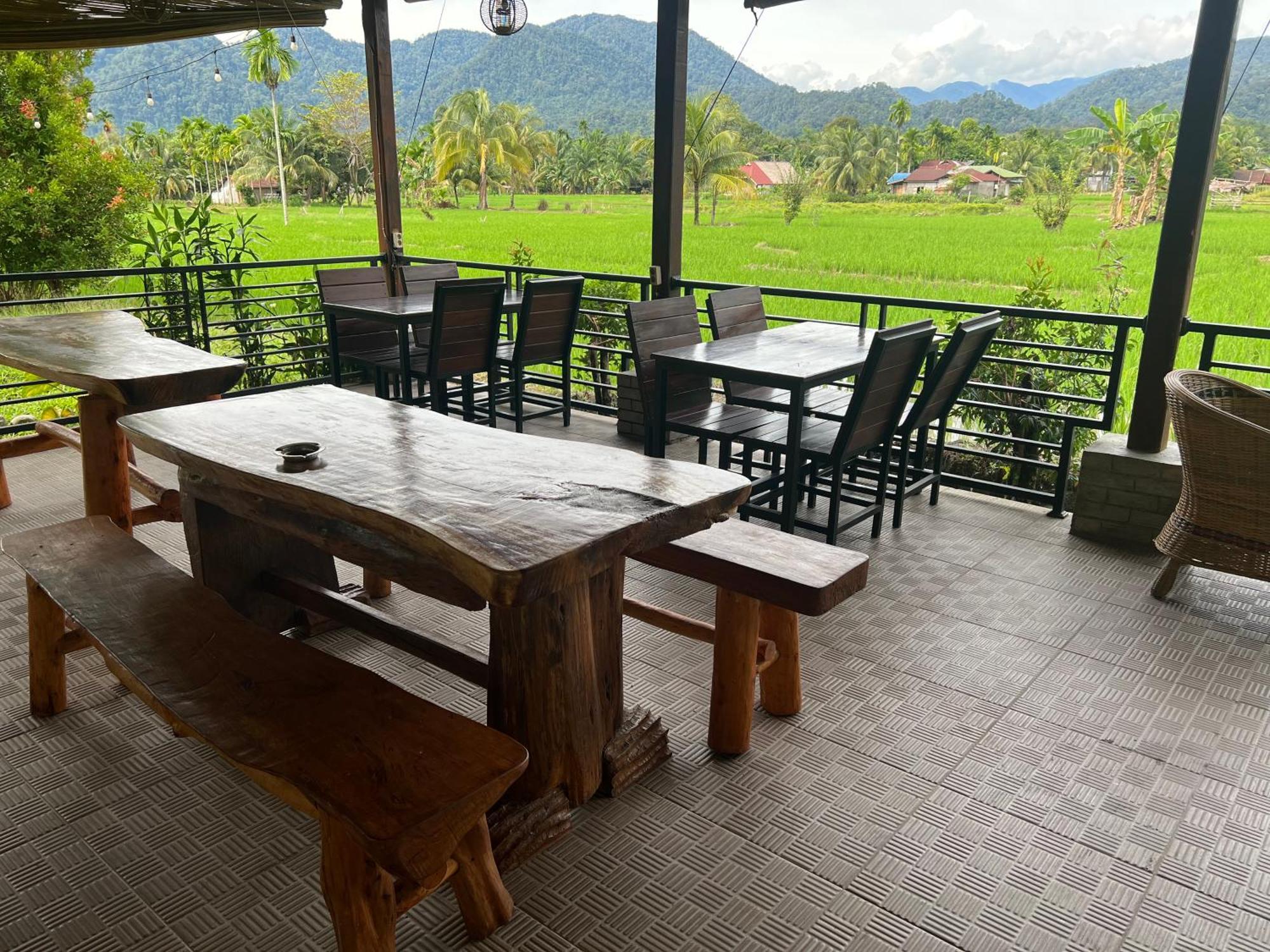 Gino'S Place - Guest House & Jungle Trekking Bukit Lawang Exterior photo