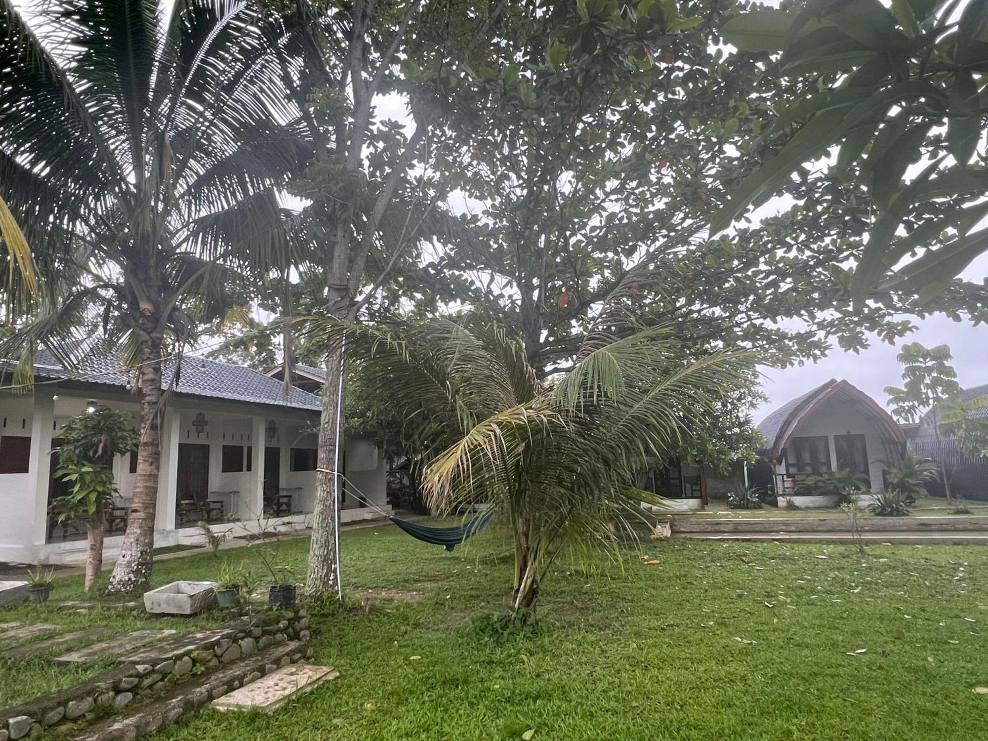 Gino'S Place - Guest House & Jungle Trekking Bukit Lawang Exterior photo