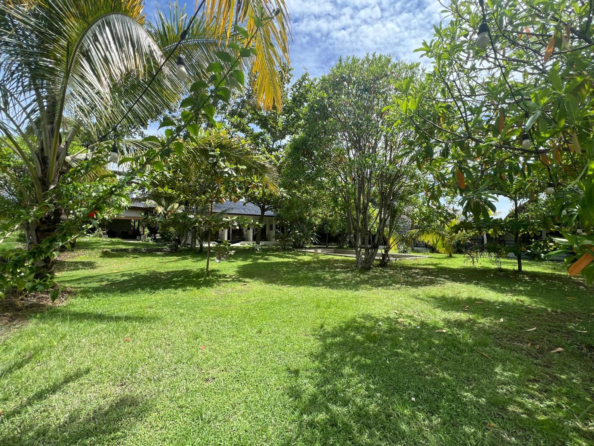Gino'S Place - Guest House & Jungle Trekking Bukit Lawang Exterior photo