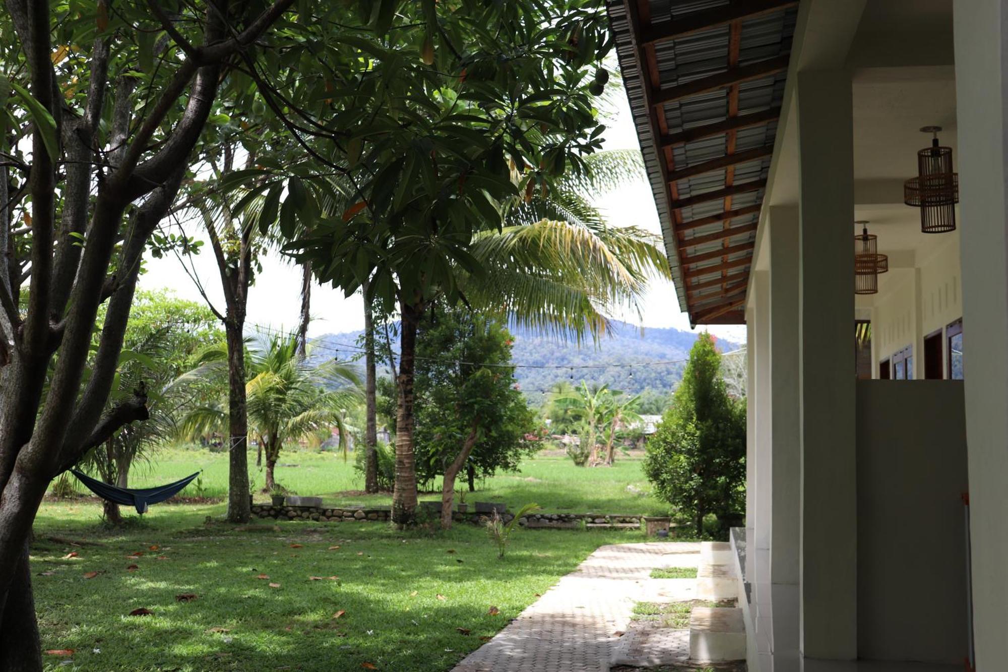 Gino'S Place - Guest House & Jungle Trekking Bukit Lawang Exterior photo