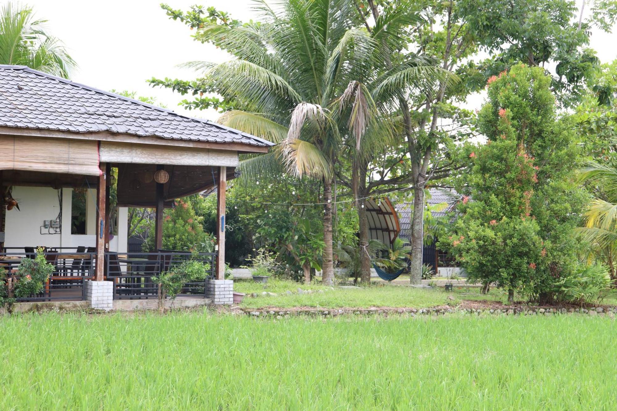 Gino'S Place - Guest House & Jungle Trekking Bukit Lawang Exterior photo