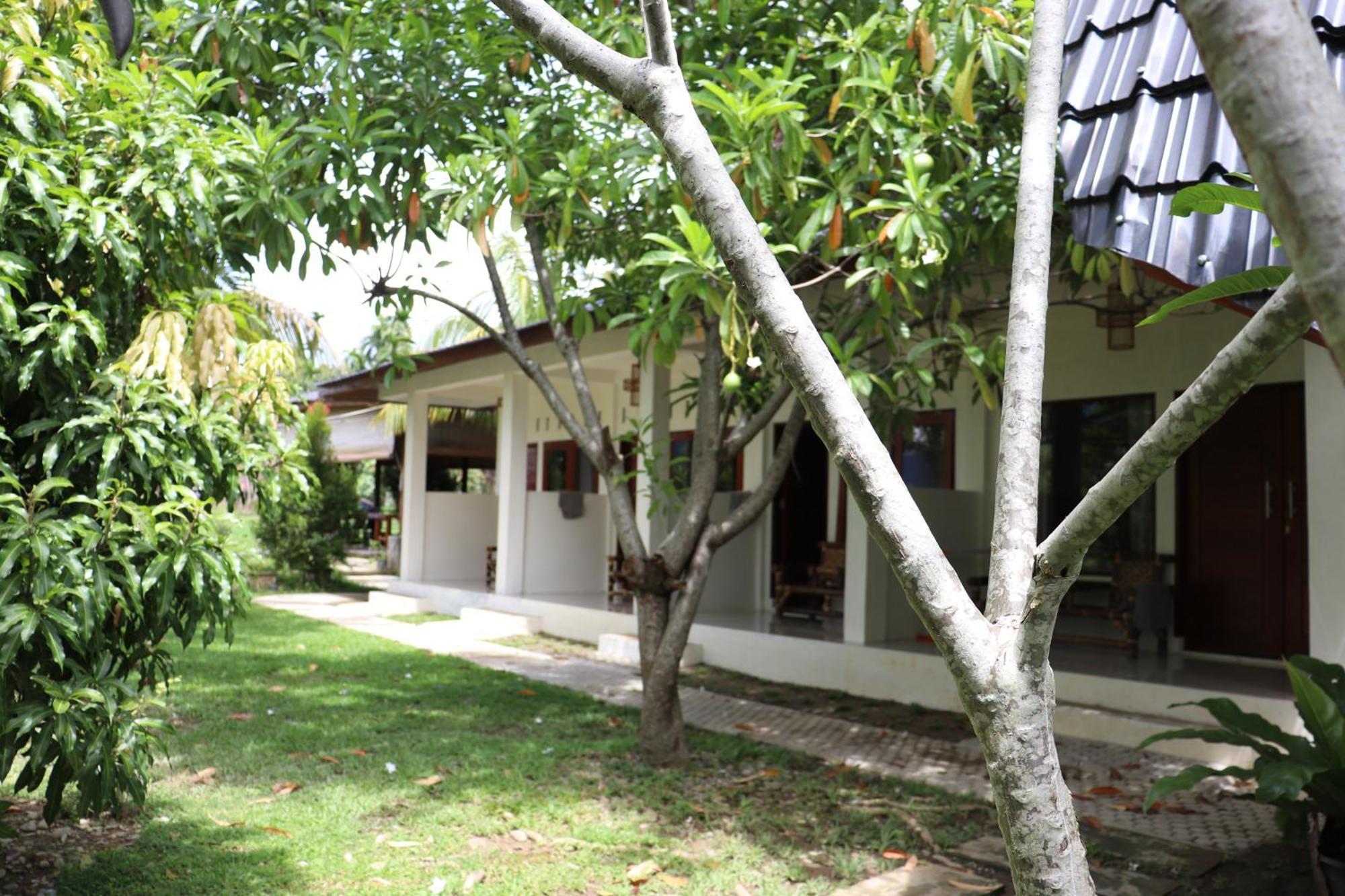 Gino'S Place - Guest House & Jungle Trekking Bukit Lawang Exterior photo