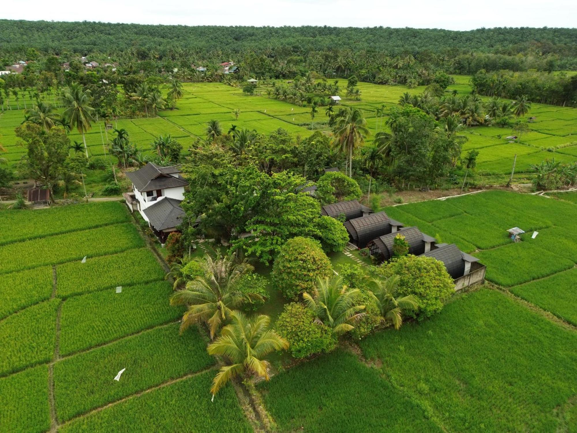 Gino'S Place - Guest House & Jungle Trekking Bukit Lawang Exterior photo
