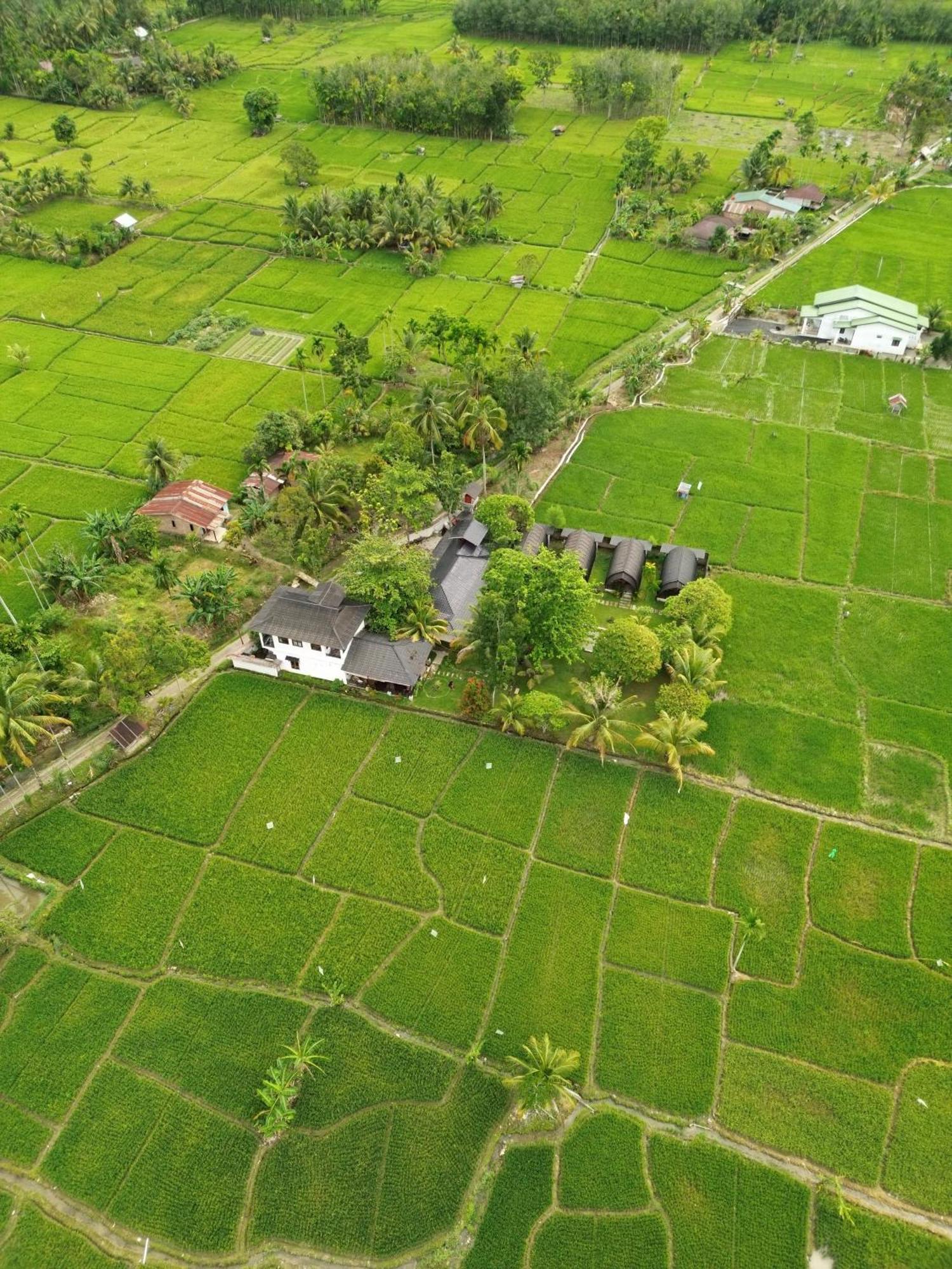 Gino'S Place - Guest House & Jungle Trekking Bukit Lawang Exterior photo
